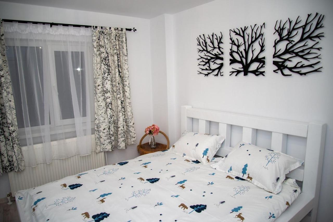 Apartament Daria Tirgu Ocna Exterior photo